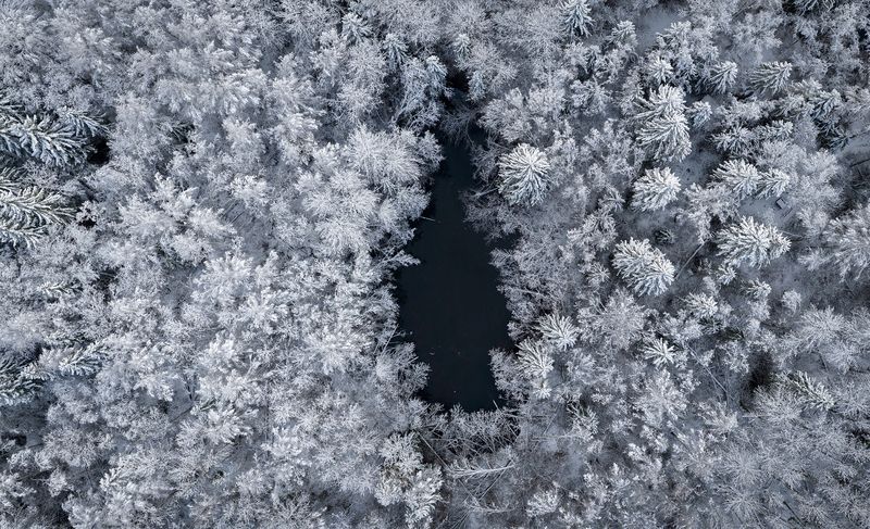 Зеркало природы фото превью