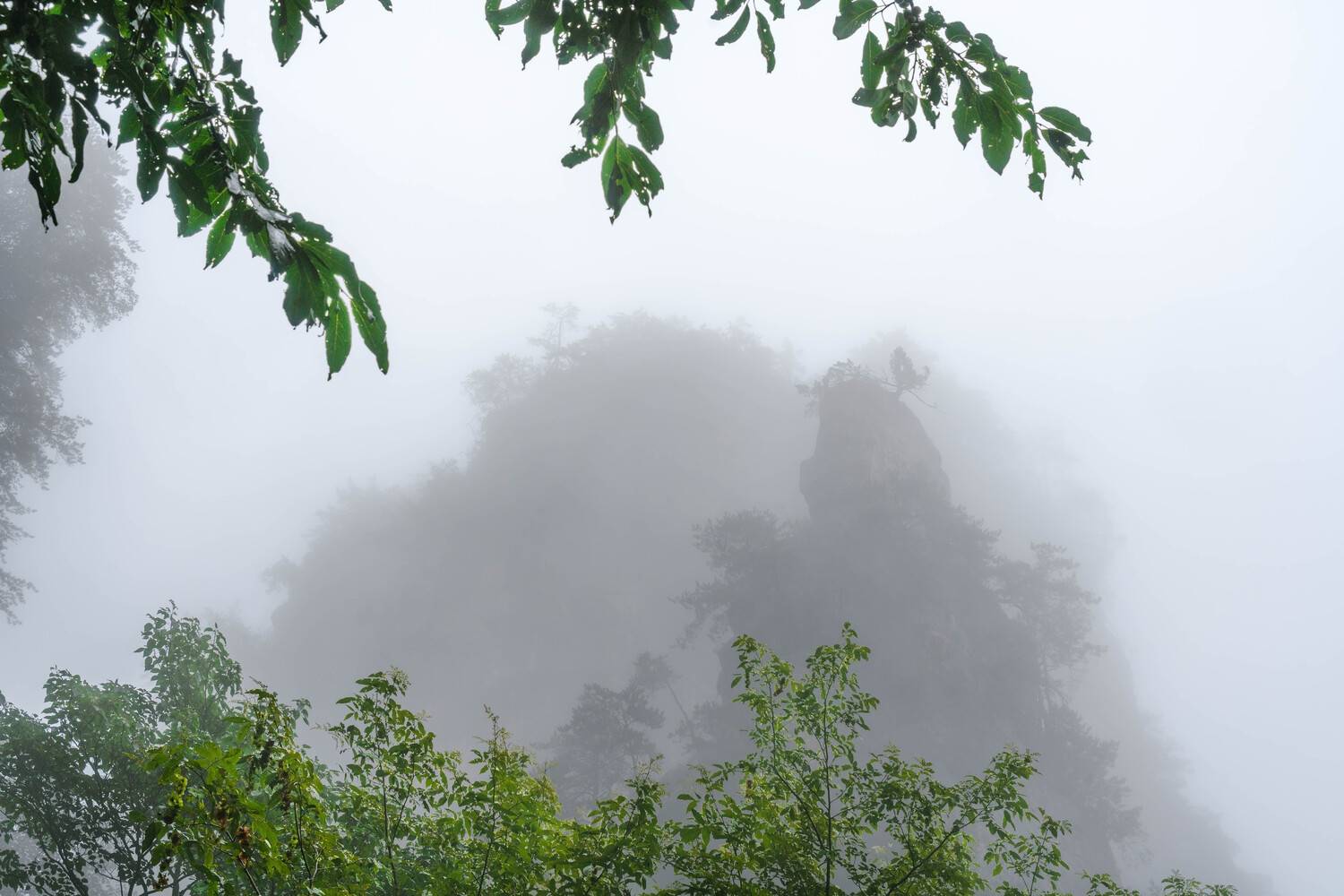 , Важенин Евгений