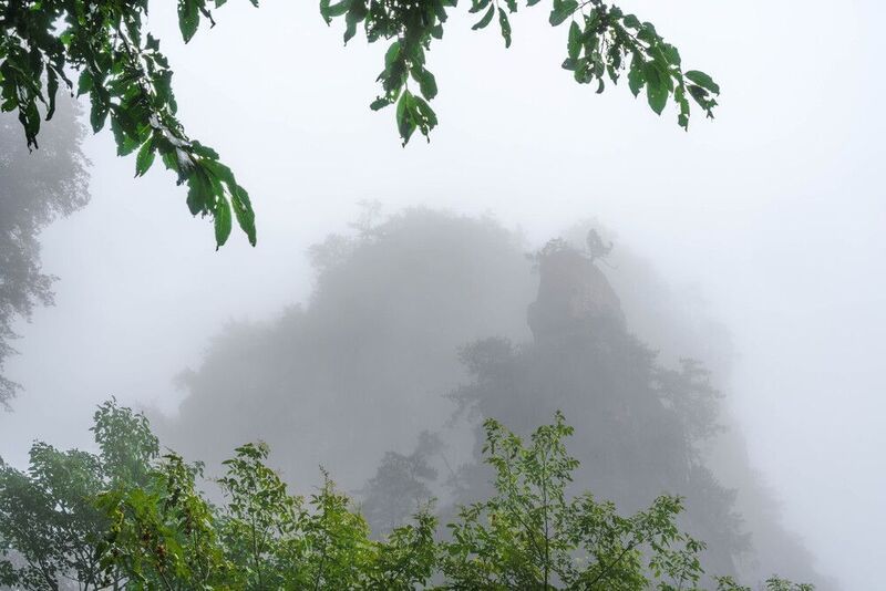 Завораживающий мир каменных Исполинов Чжанцзяцзе… The fascinating world of the stone Giants of Zhangjiajie... фото превью