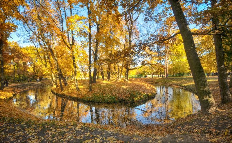 Золото осени фото превью