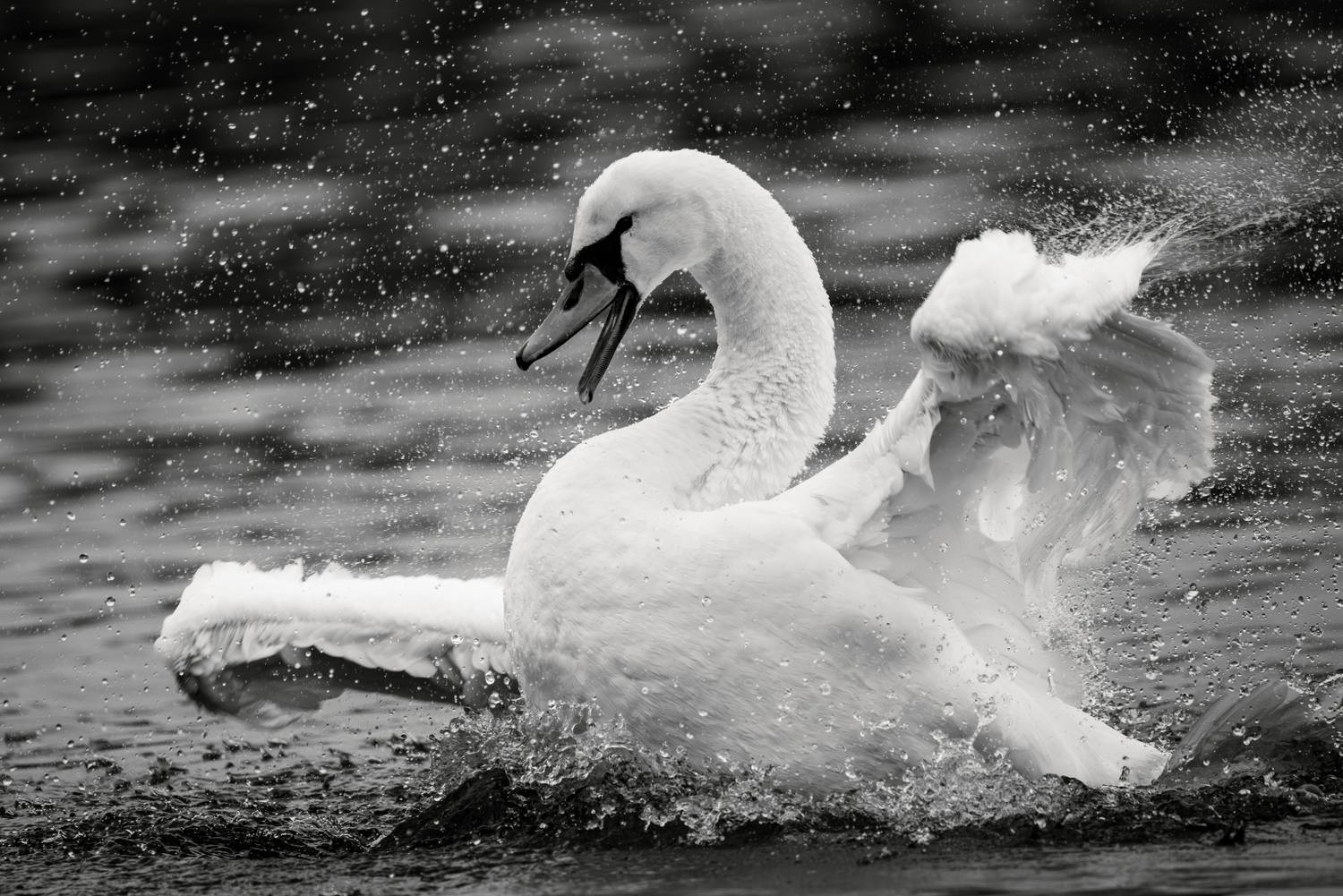 , ssmirs Сергей