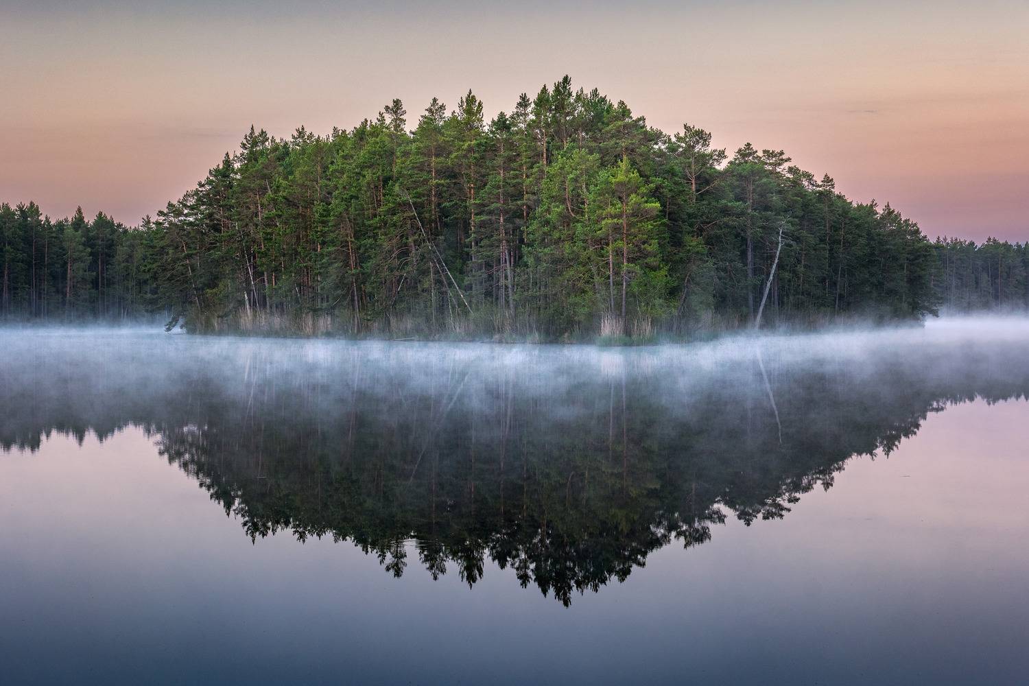 , Гордон Николай