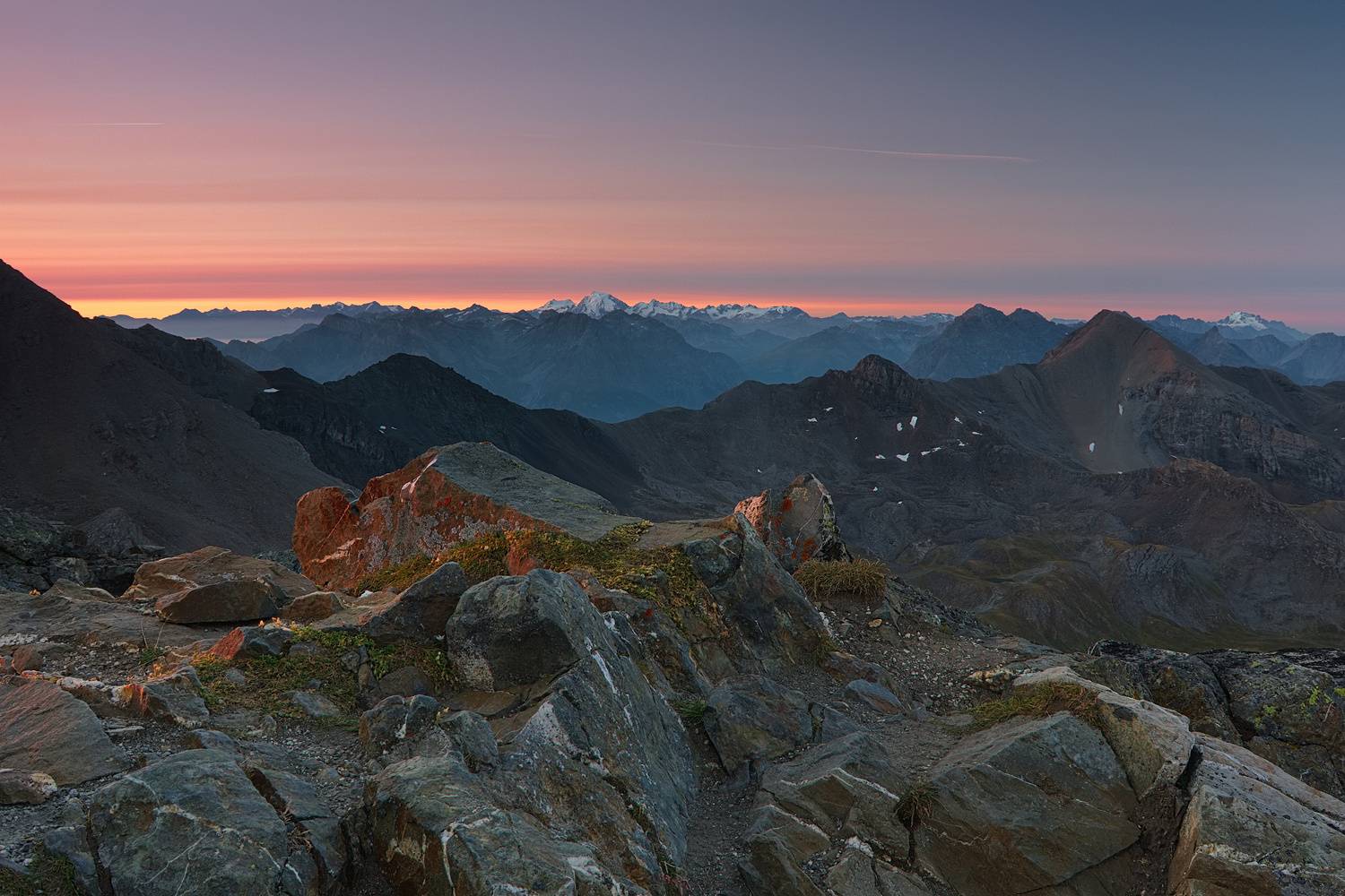 , Wojciech Tarnowski