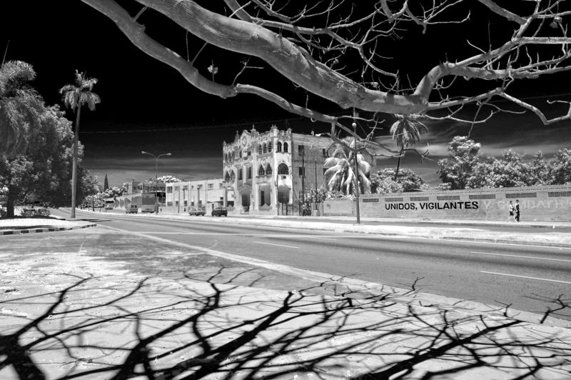 улица, тени, ветки, куба гавна Тени фото превью