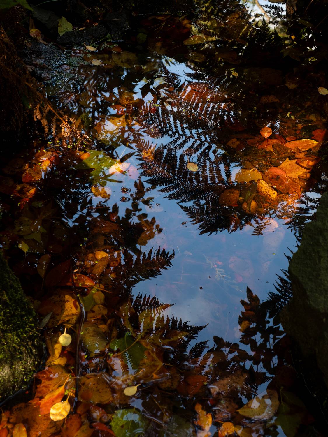 , Ирина Протченко