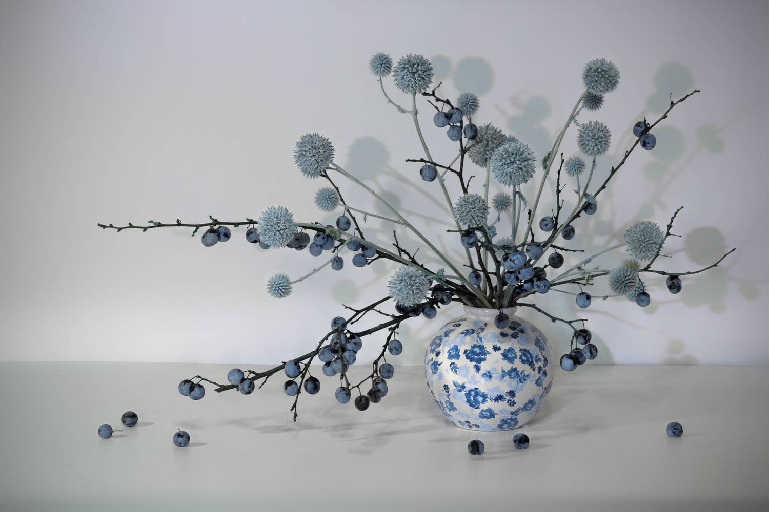 тёрн, мордовник, Заболотская Ольга