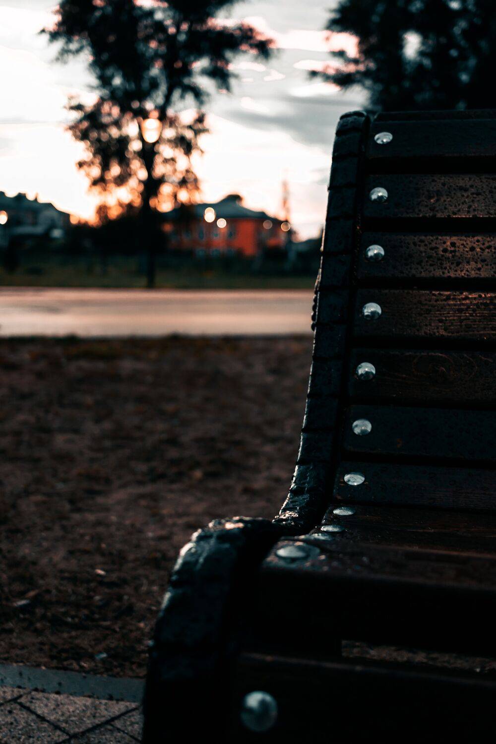 , Сахар Александр