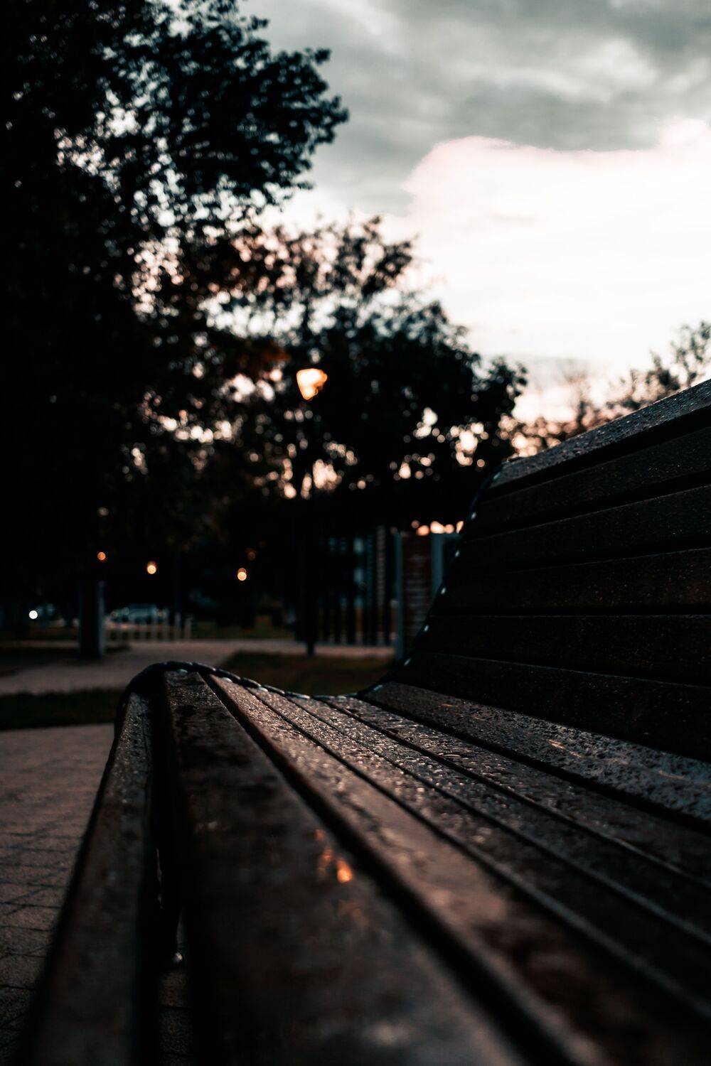 , Сахар Александр