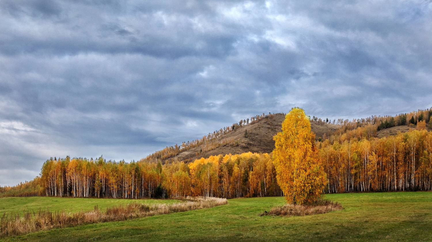 , Ушаков Валерий