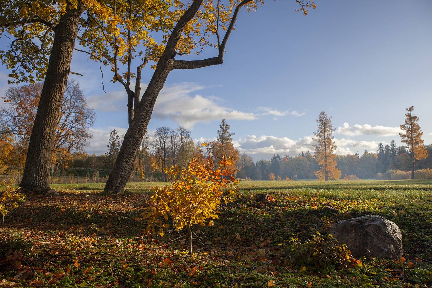 , Aleksandr Mihailov