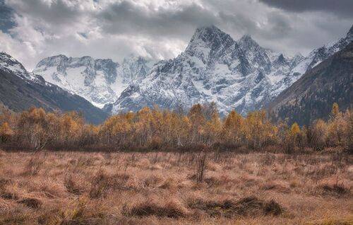 Сезон перехода в черно- белое