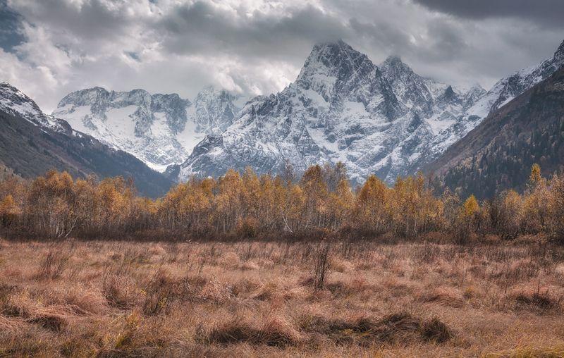 карачаево черкесия, западный кавказ, домбай, гоначхир, чотча, бу ульген, домбай ульген, осень Сезон перехода в черно- белое фото превью