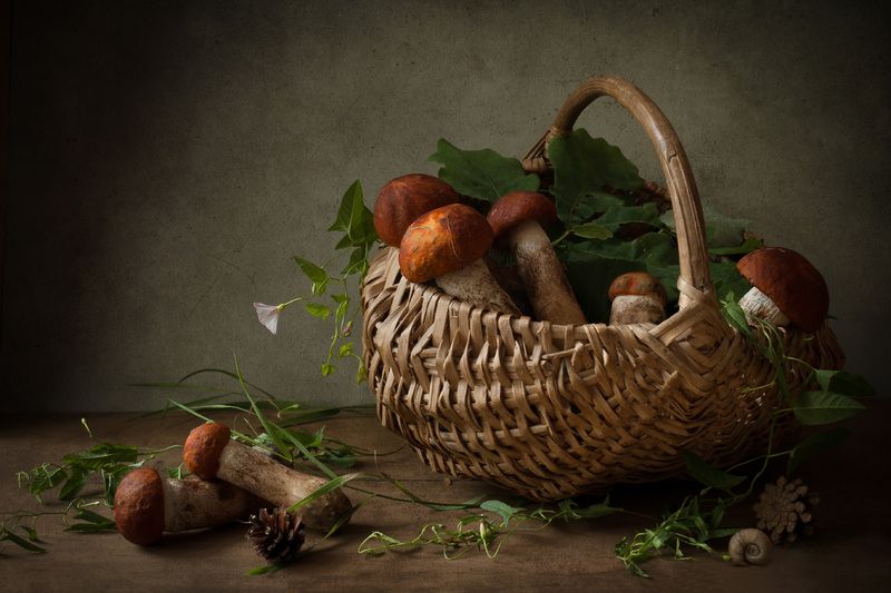 грибы, лето, подосиновики, лес Семейка подосиновиков фото превью