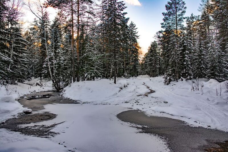 Осенняя дорога фото превью