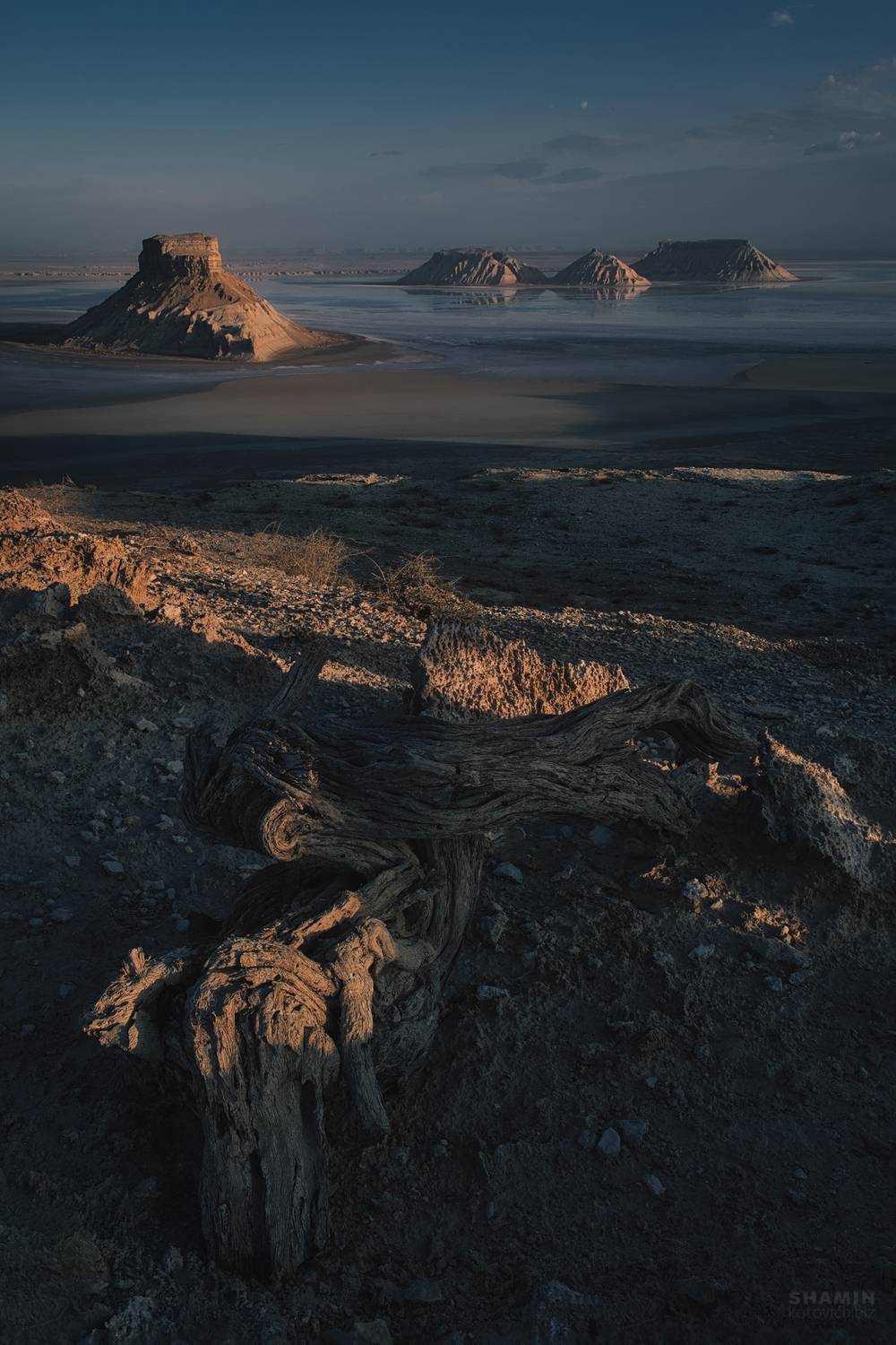 , Константин Шамин