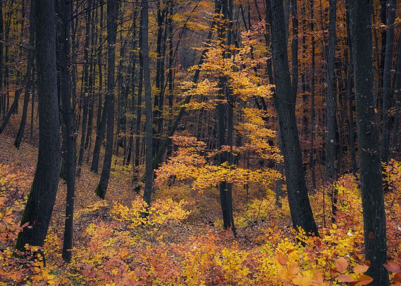2020 фото превью