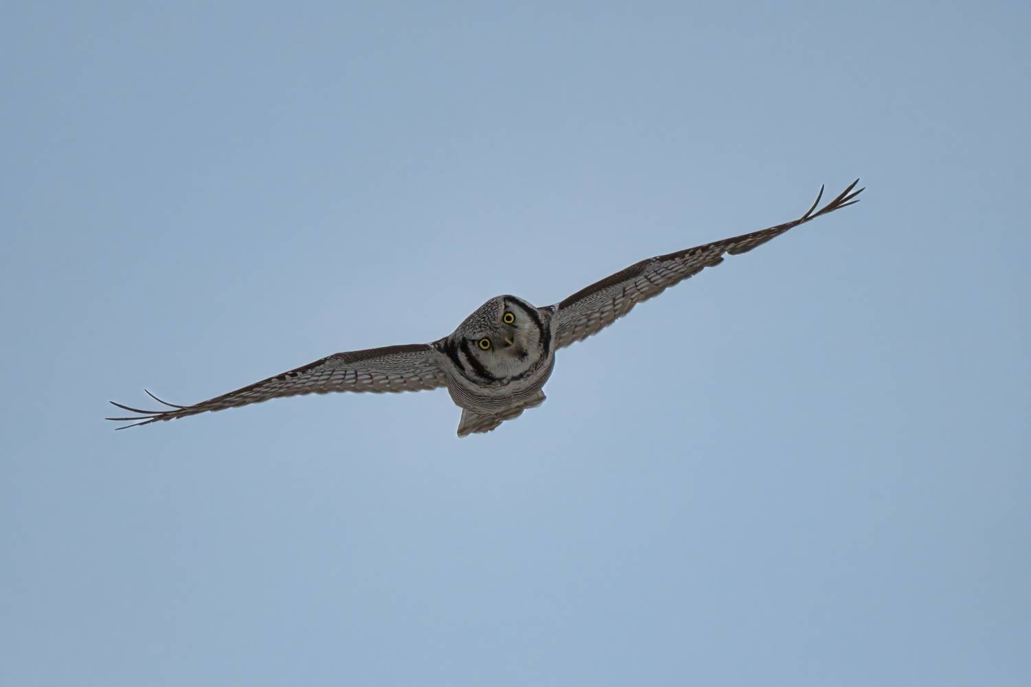 , Большаков Алексей