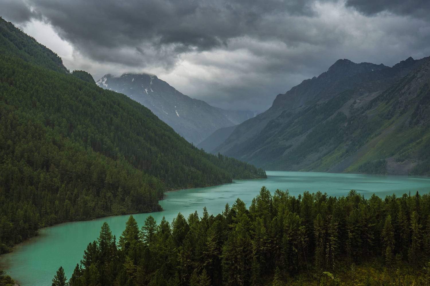 алтай, кучерла, Станислав