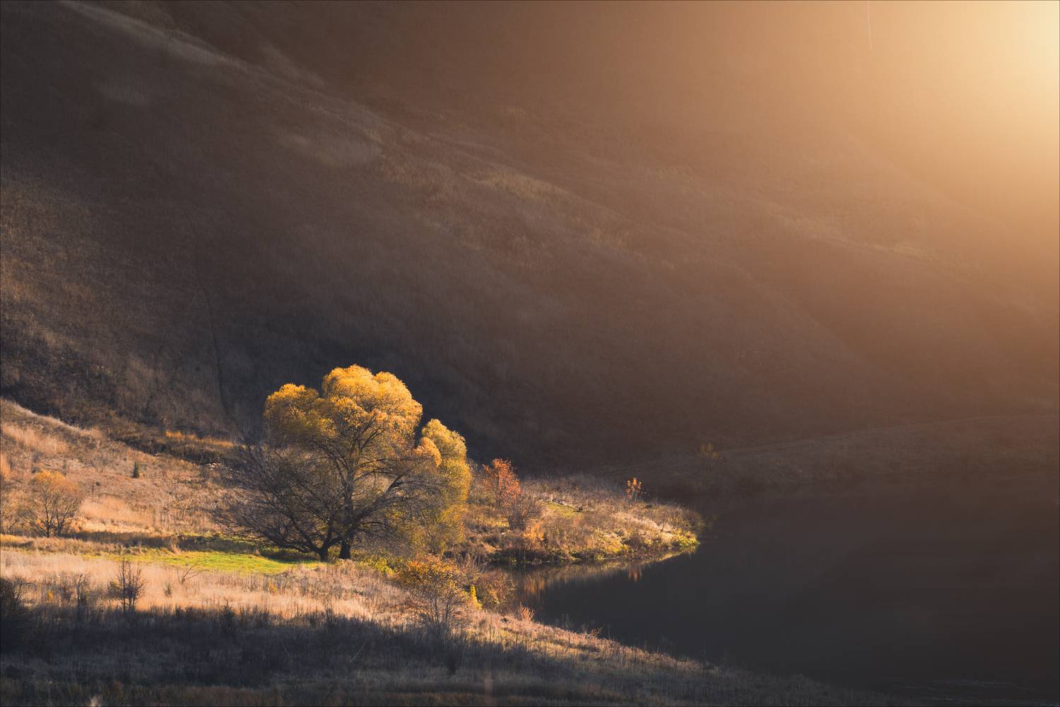 , Богорянов Алексей