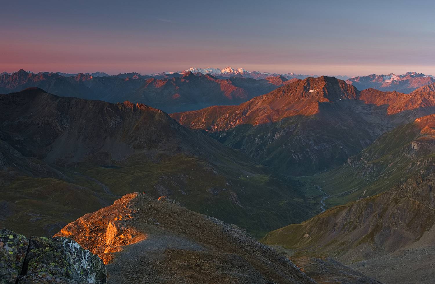 , Wojciech Tarnowski