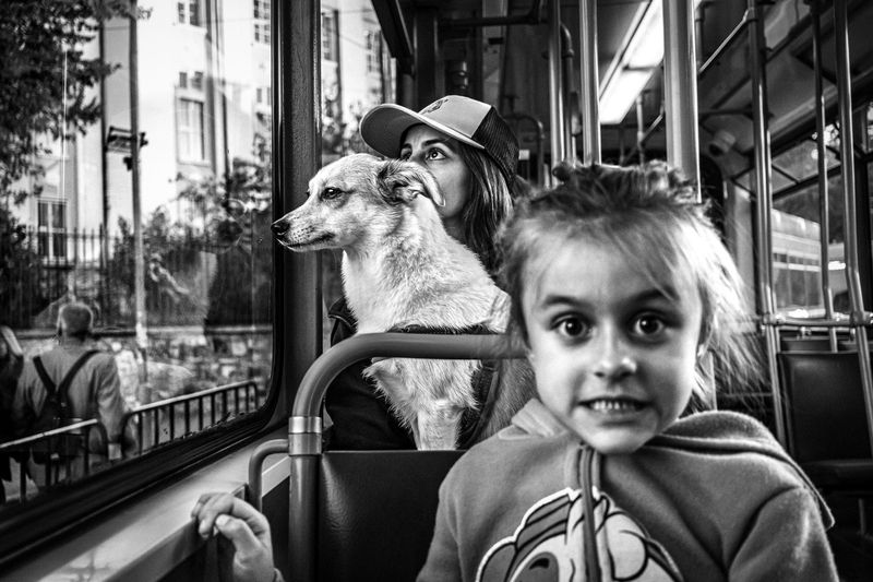 *** фото превью