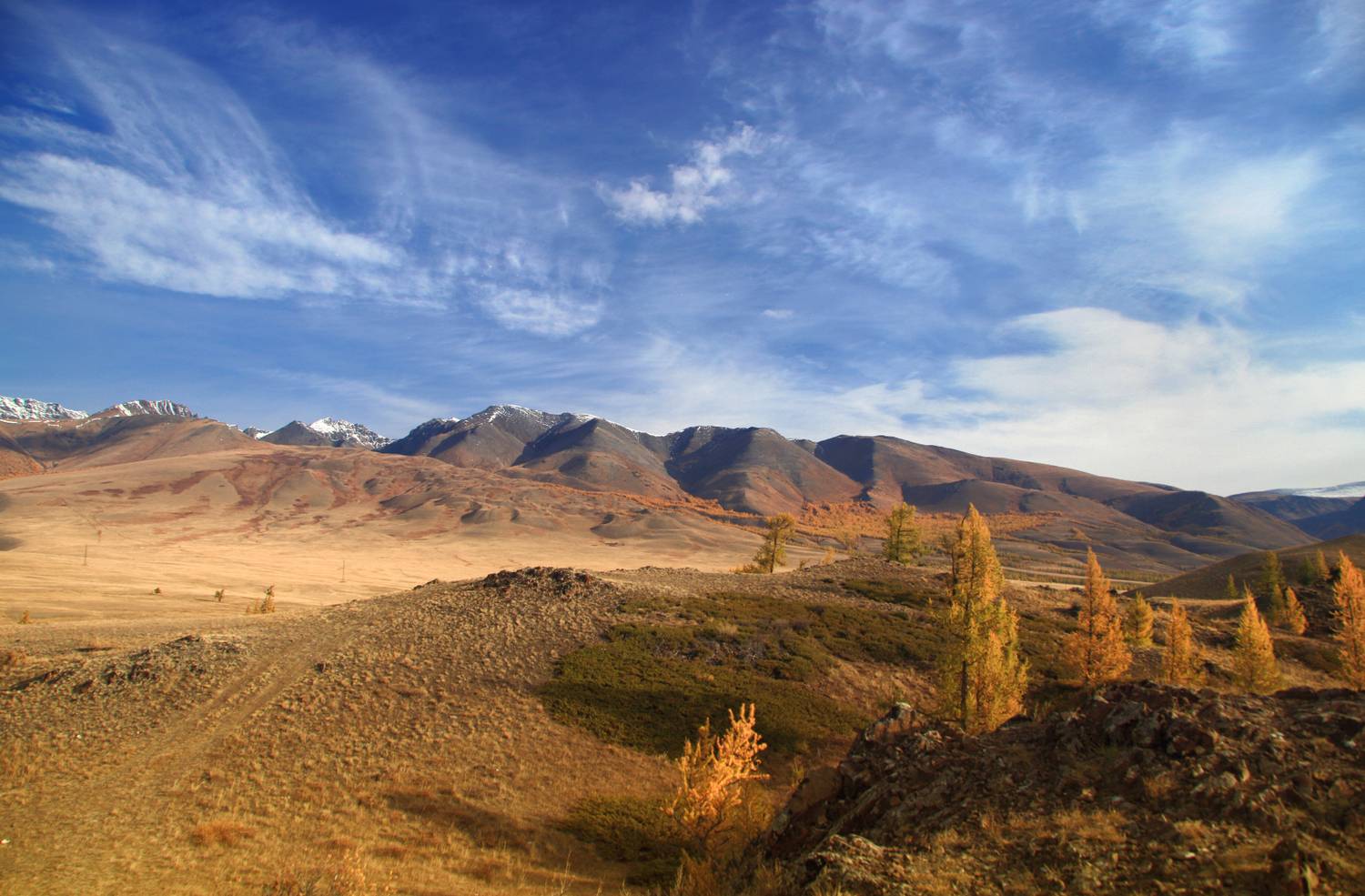 , Евгений Зинов