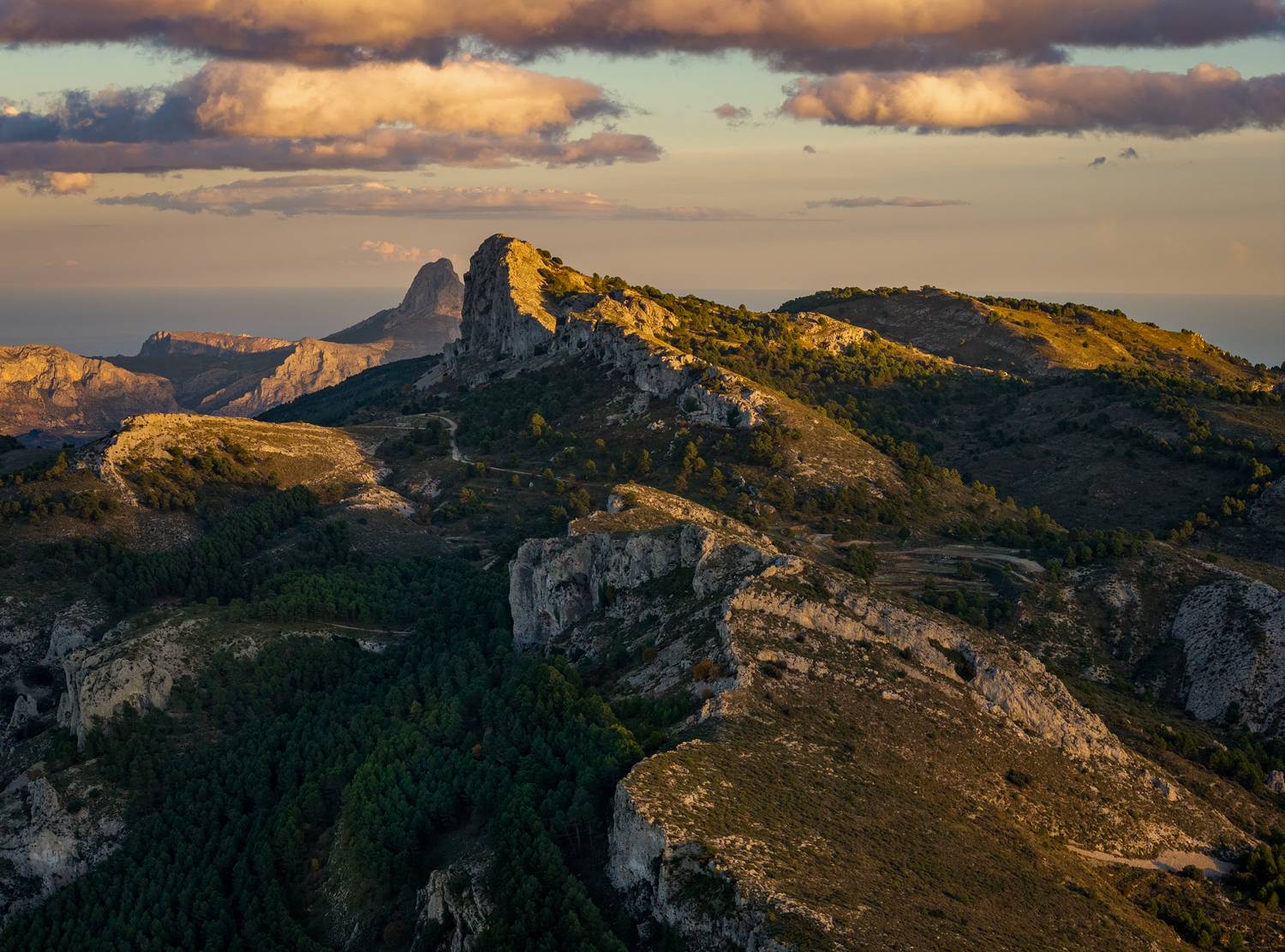 , Алекс Римский