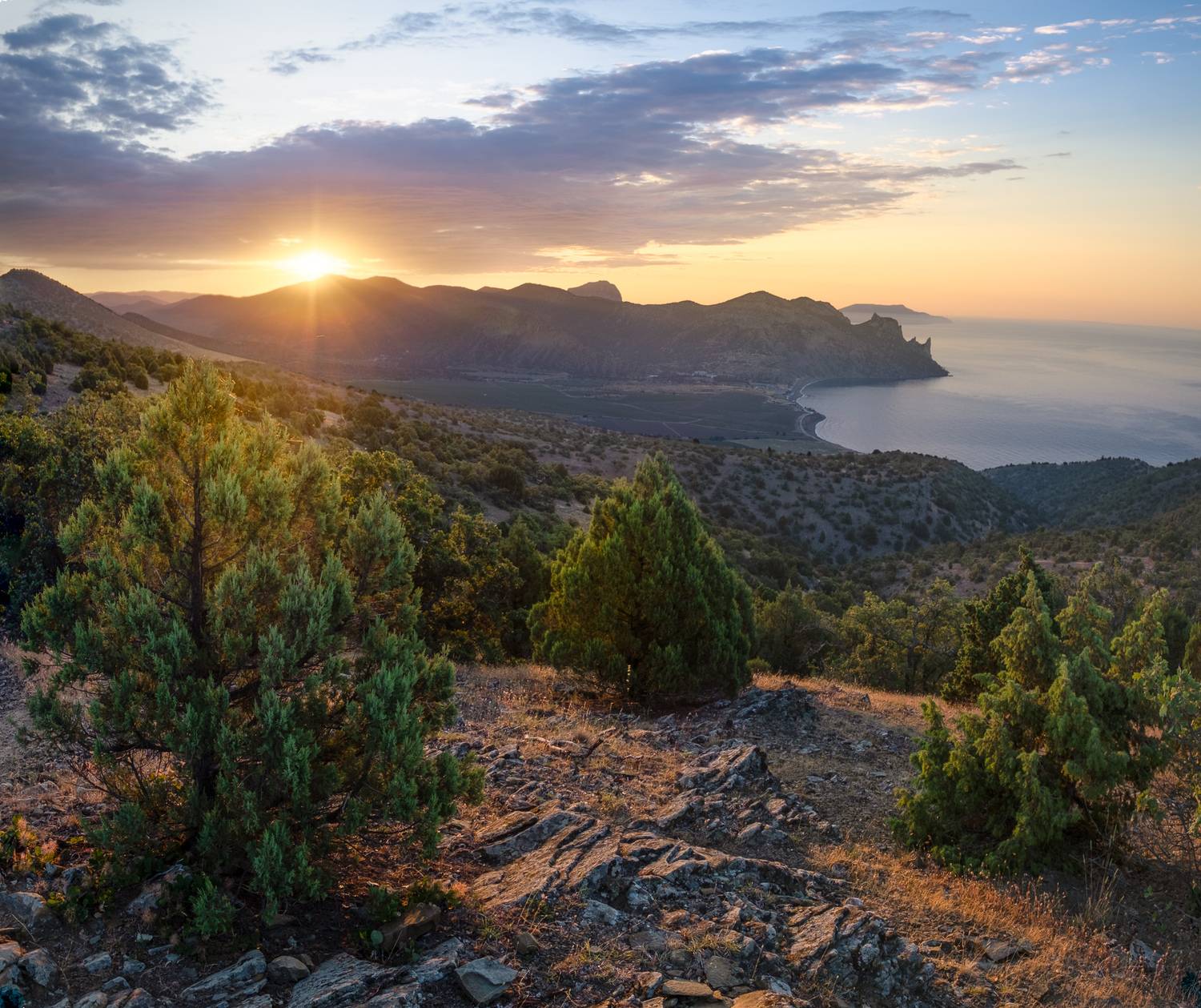 , Коротеев Вадим