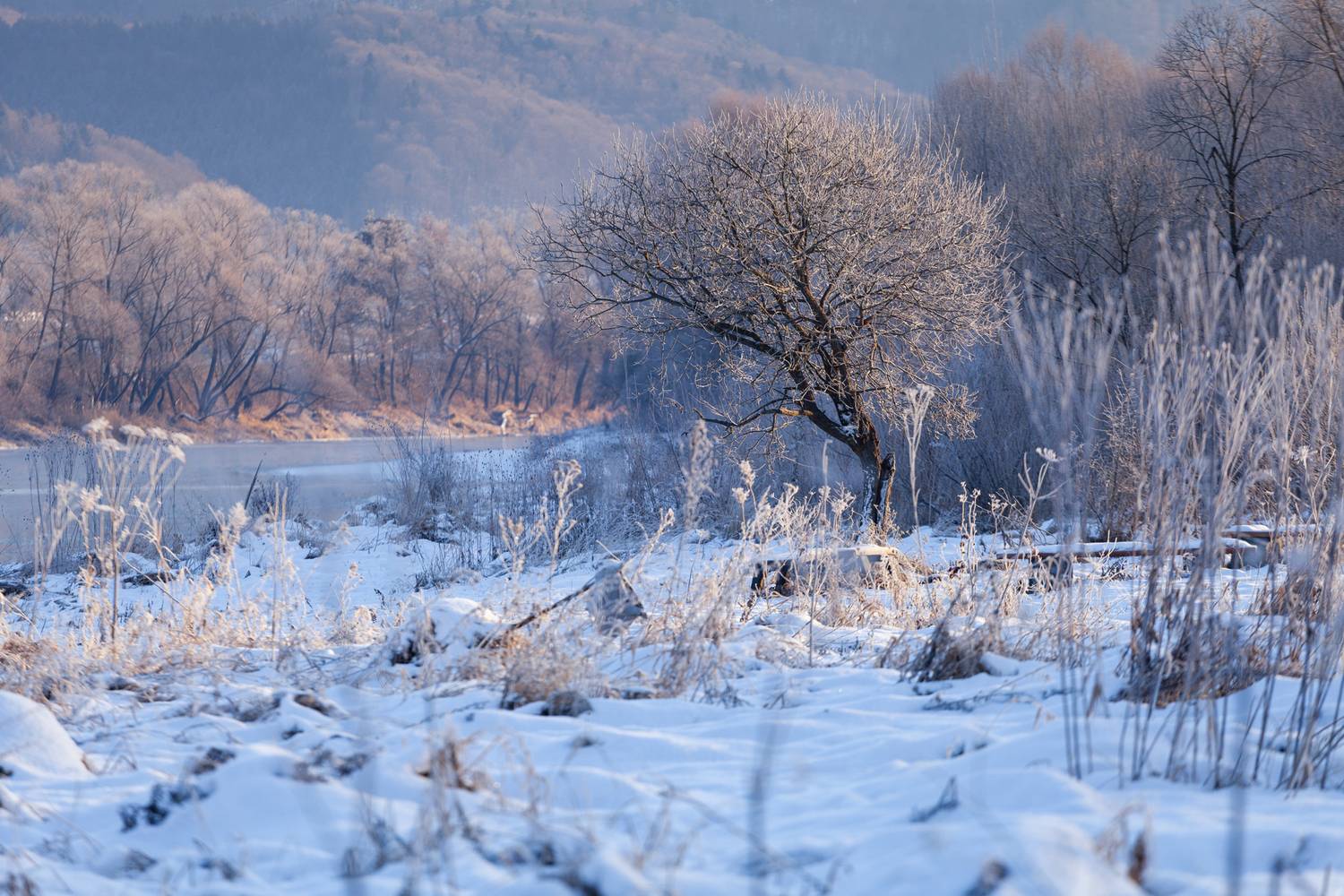 ,  Mirosław Pruchnicki
