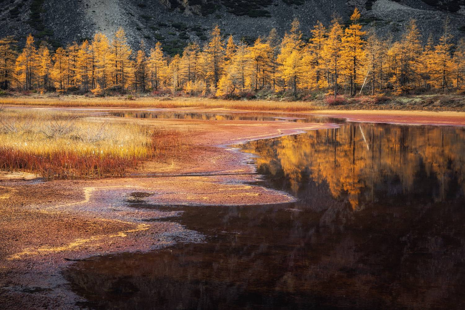 Озеро_Юг пейзажи_Колымы Магаданская_область Колымские_пляжи горная_система_Черского отражения хребет_Оханджа, Дмитрий Шишкин