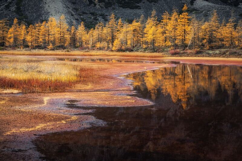 Озеро_Юг пейзажи_Колымы Магаданская_область Колымские_пляжи горная_система_Черского отражения хребет_Оханджа Золото на Юге фото превью