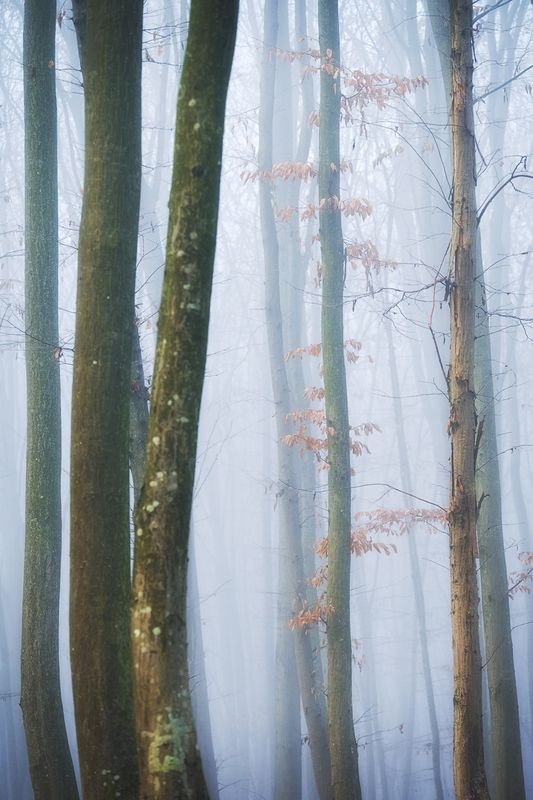 2021 фото превью