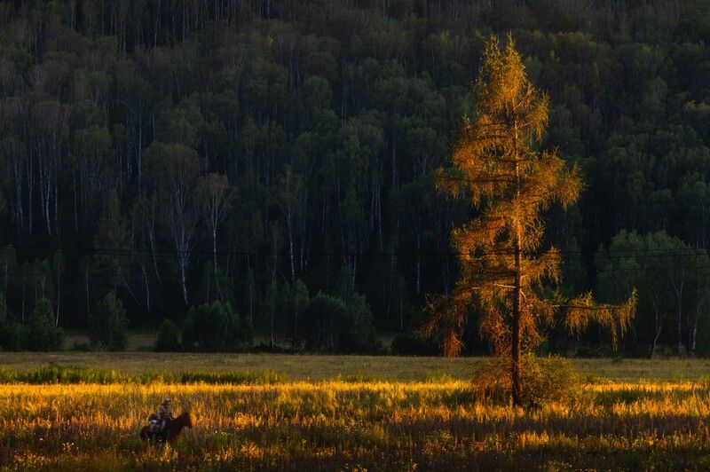 тюнгур, горный алтай Тюнгур фото превью