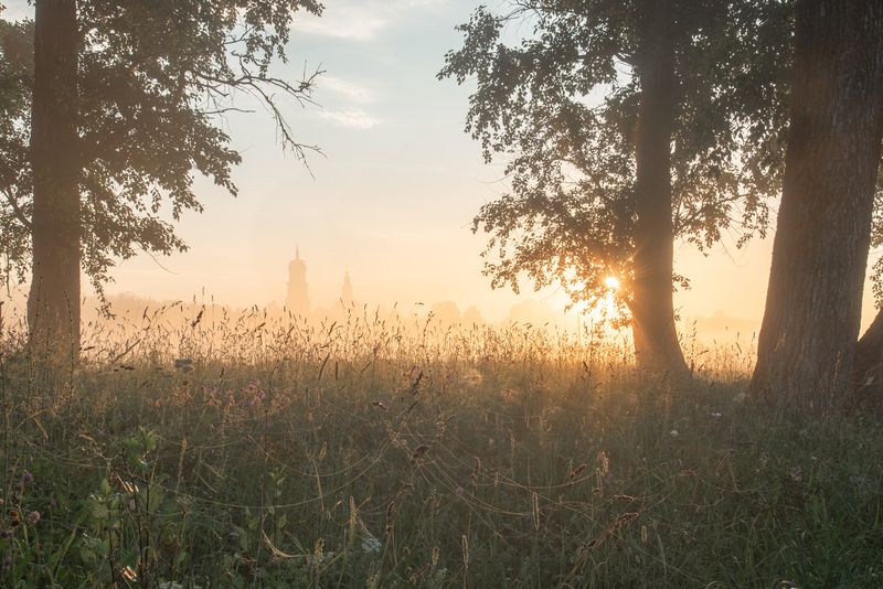 Паутинки фото превью