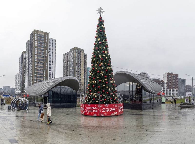 В Москве устанавливают Новогодние ёлки фото превью