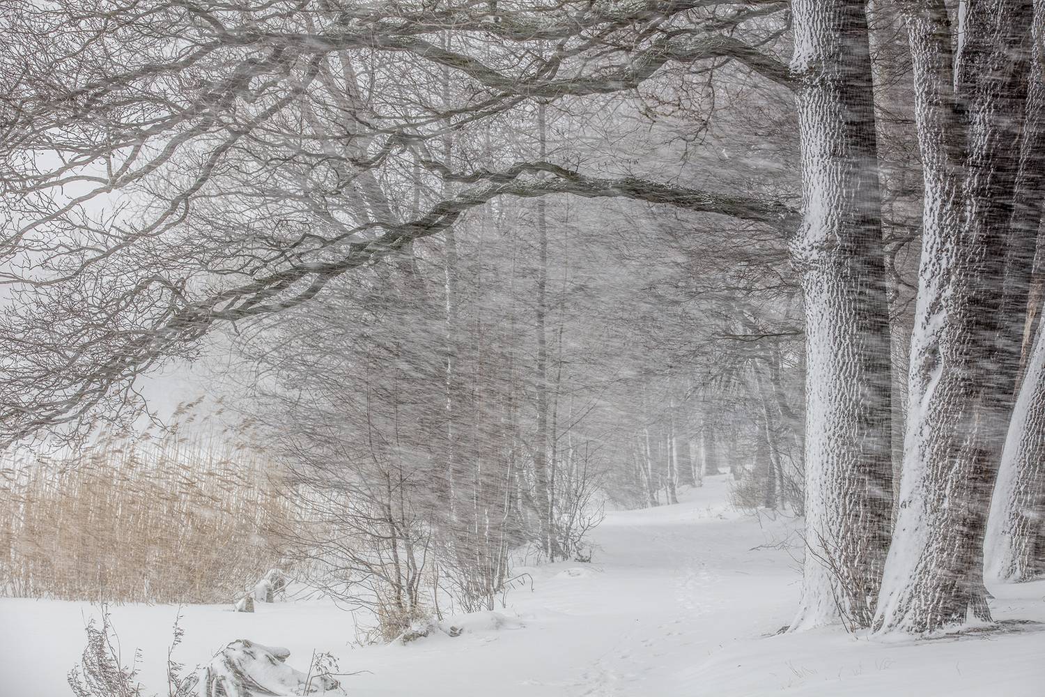 , Aleksandr Mihailov