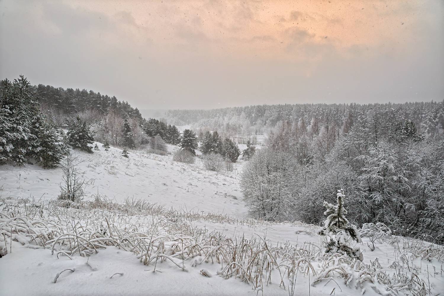 , Евгений Ерохин