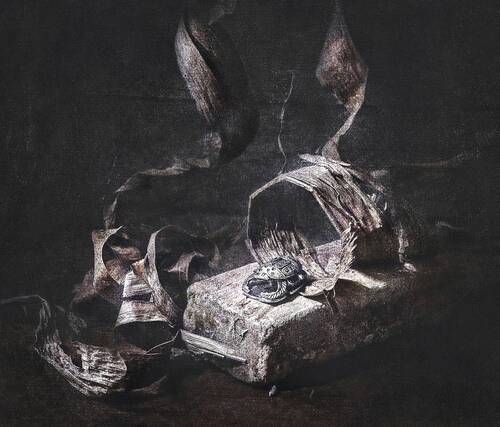 В мире снов