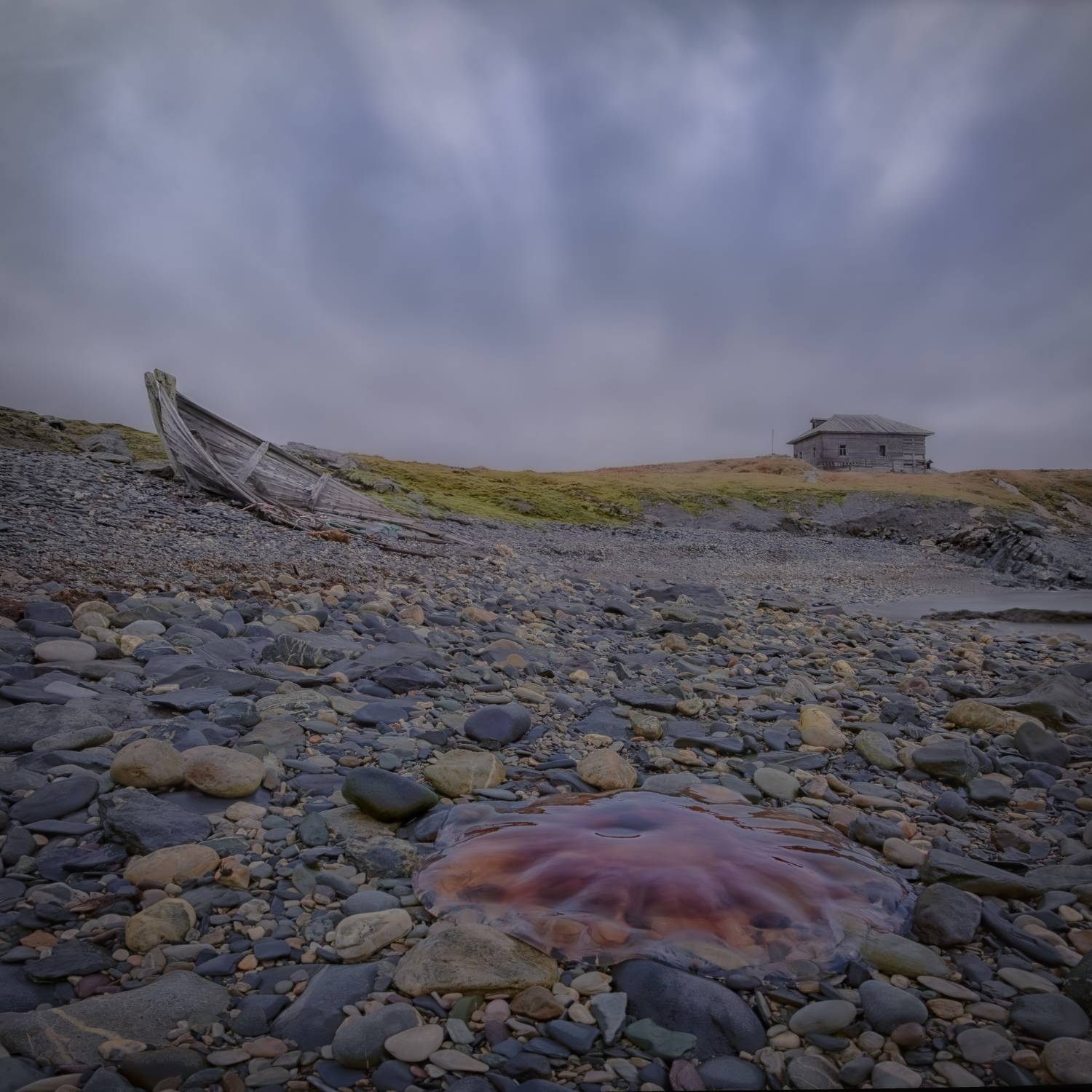 , Лаврентьев Александр