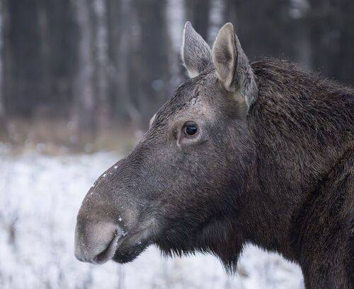 Это что у тебя там?