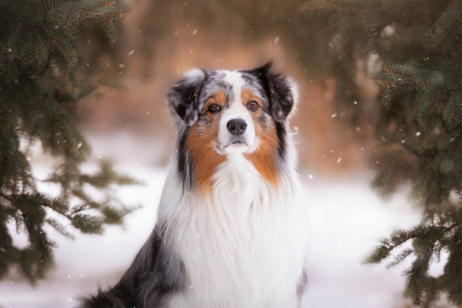 , Наталья Степанова