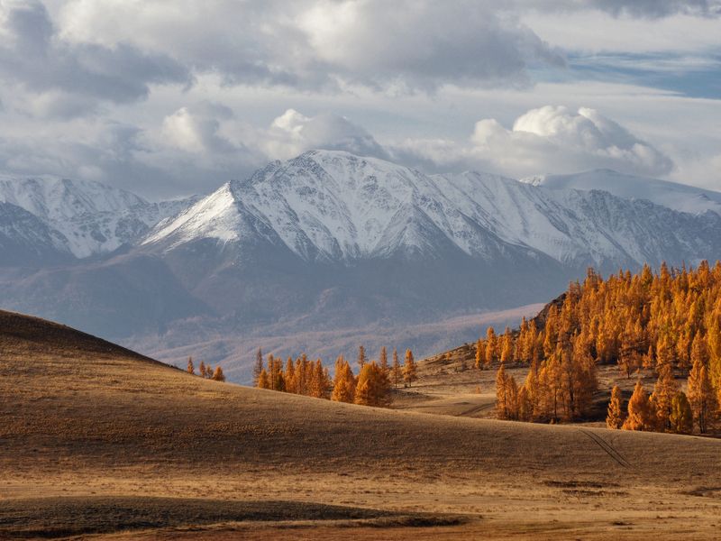алтай, горный алтай, республика алтай, курай, северо-чуйский хребет Северо-Чуйский хребет фото превью