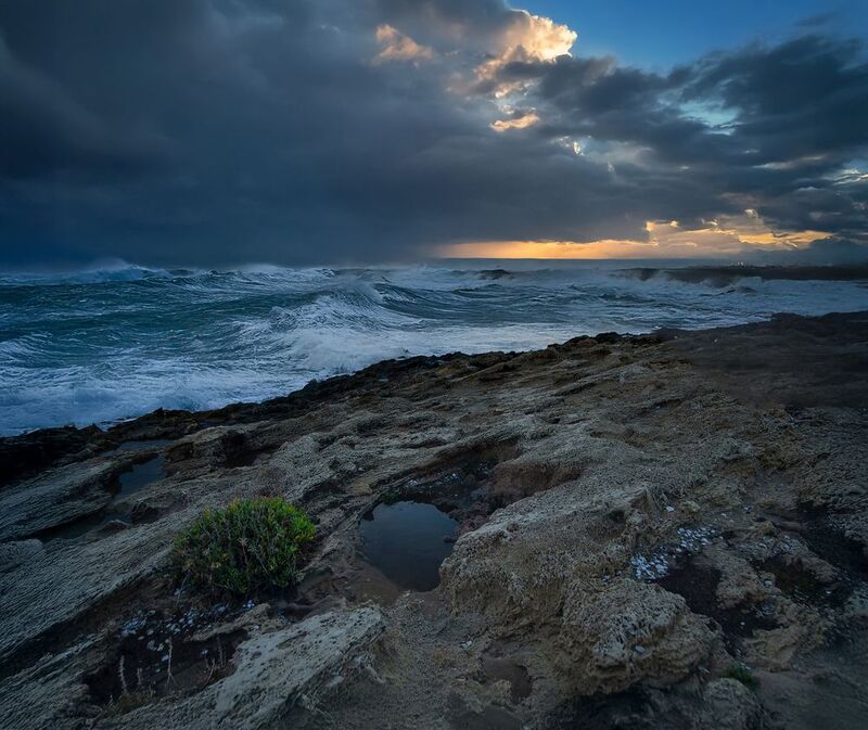 Растущие на камнях. фото превью