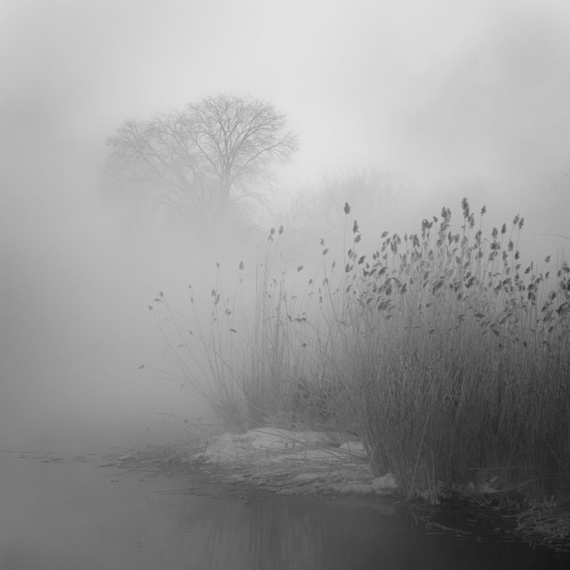 зимний пейзаж, пейзаж, зима, рассвет, курган, зауралье, природа урала, урал, орловское водохранилище, орлово Утро на Орловском водохранилище фото превью