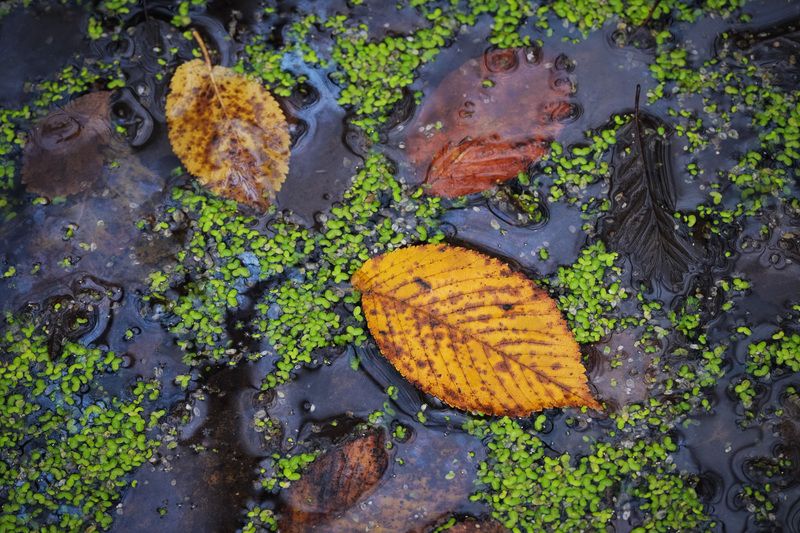 2020 фото превью