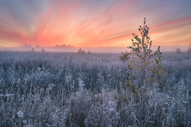Красочный рассвет на серебряном поле фото превью