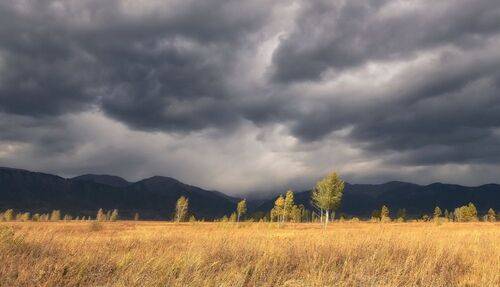 Перед грозой
