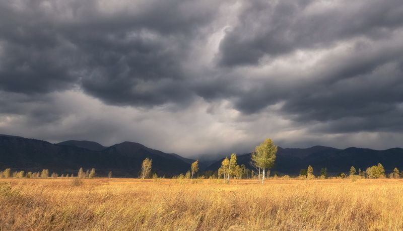 алтай, осень, непогода, грозовые тучи, ветер Перед грозой фото превью