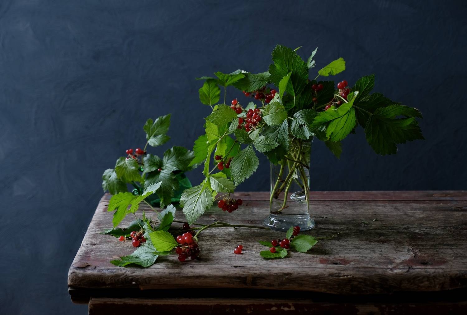 Still life, Viburnum, Autumn, Colors, Light, Натюрморт, Калина, , Povarova Ree Svetlana