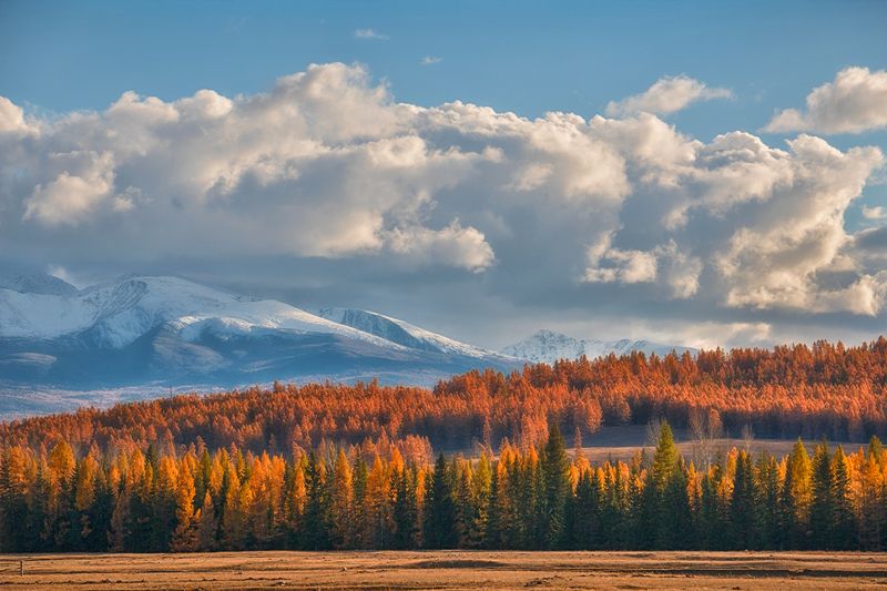 Дыхание осени... фото превью